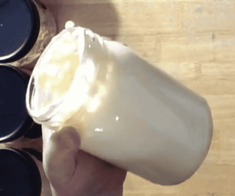 Homemade jar of old fashioned mayonnaise