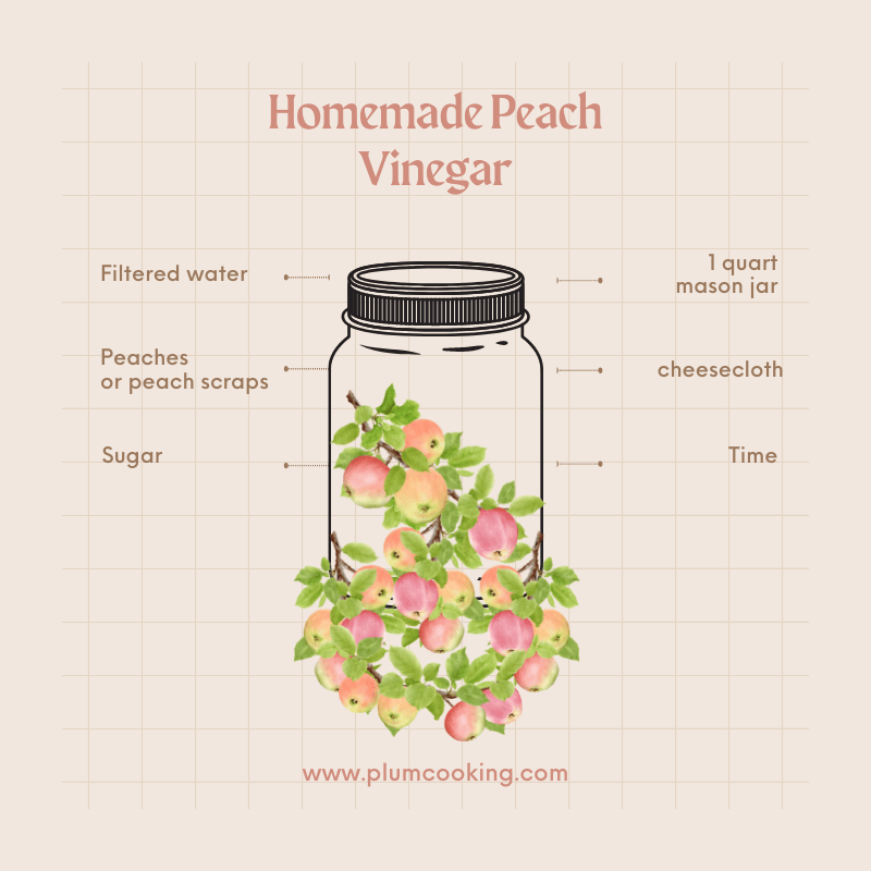 How To Make Vinegar - From Peaches